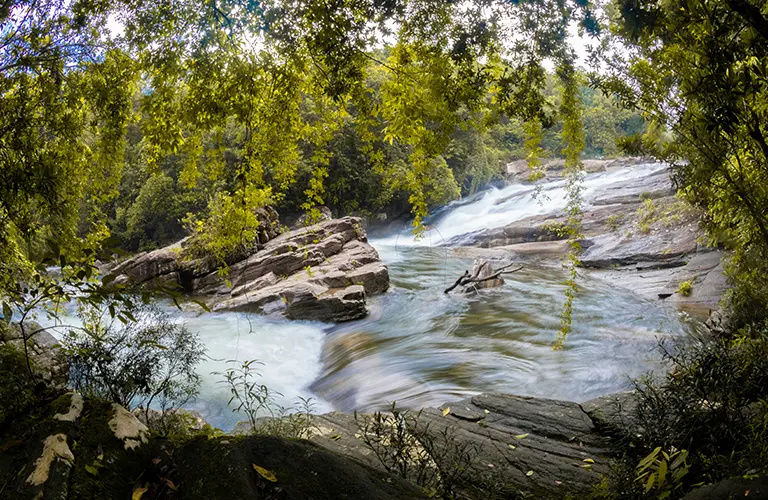 A rushing river cascade flowing over large rock formations framed by lush green trees, showcasing the beautiful nature excursions included in our Sri Lanka Beyond Boundaries - The Ultimate 15-Day Adventure Odyssey package.