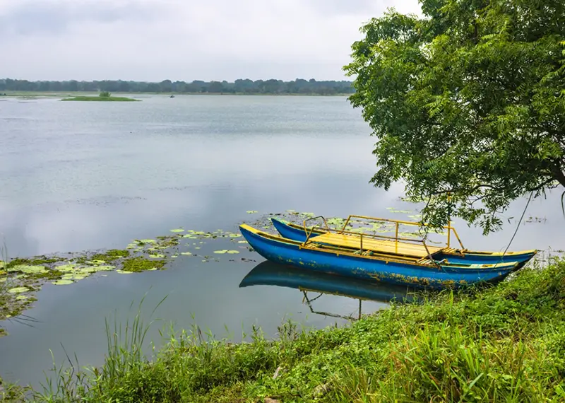 Brightly colored local boat resting quietly near a lush, grassy lake shore
