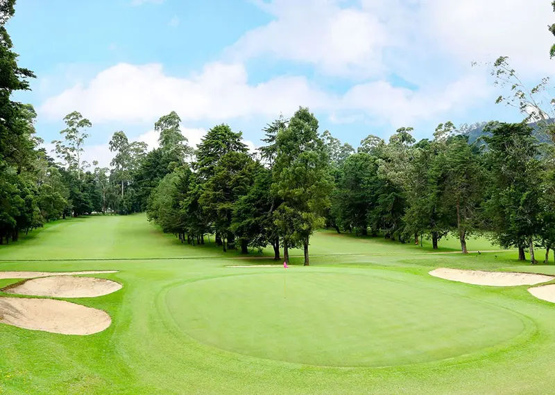 Lush green fairways and sand traps create a perfect golfing day outdoors