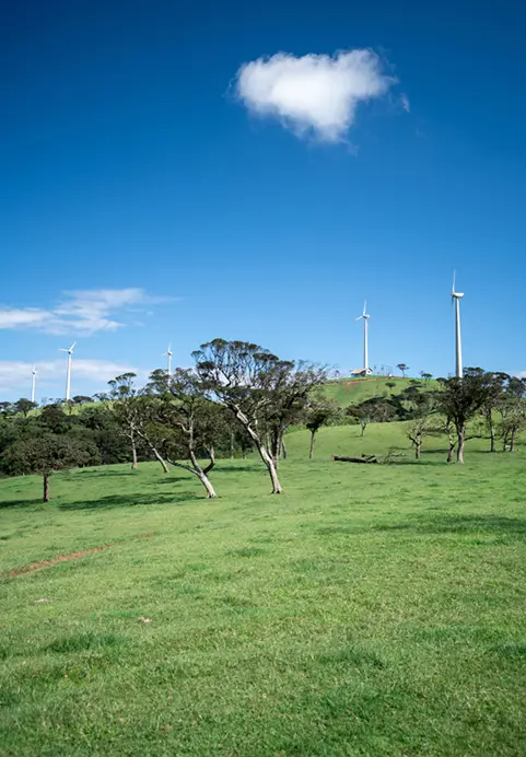 A lush green landscape featuring wind turbines in the central highlands, a unique and scenic destination to include on Highland Wonders & Heritage Trails tour