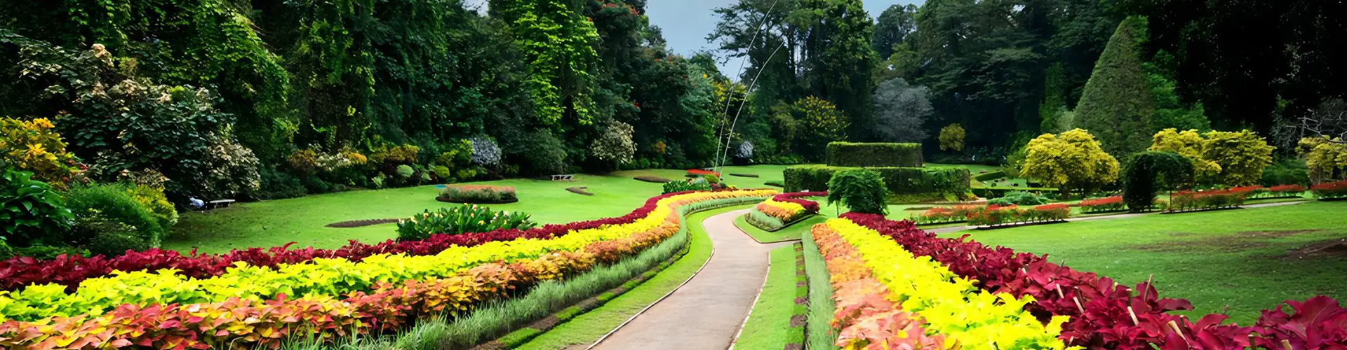 A picturesque pathway lined with colorful plants in a lush Peradaniya botanical garden, a beautiful nature walk to include in Highland Wonders & Heritage Trails package