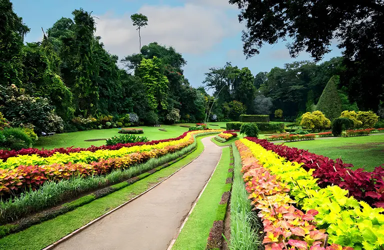 A picturesque pathway lined with colorful plants in a lush Peradaniya botanical garden, a beautiful nature walk to include in Highland Wonders & Heritage Trails package