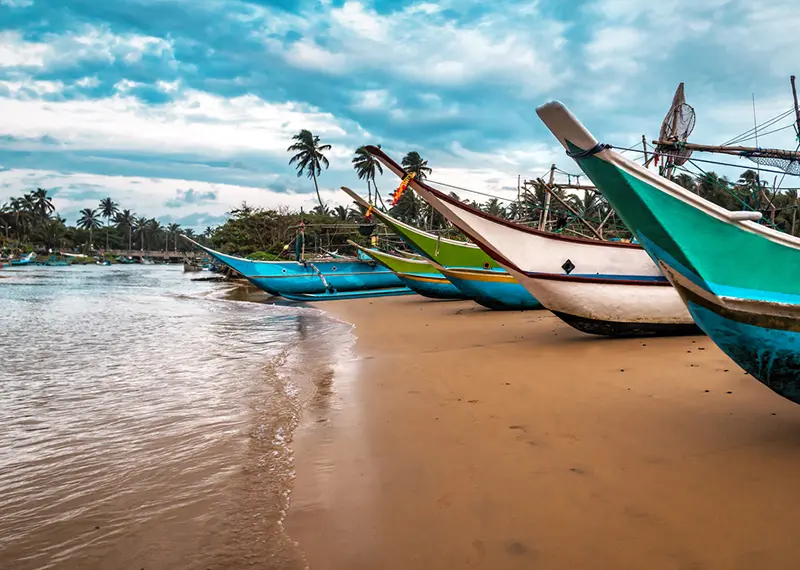 Vibrant traditional fishing catamarans lined up on the sand near palm trees