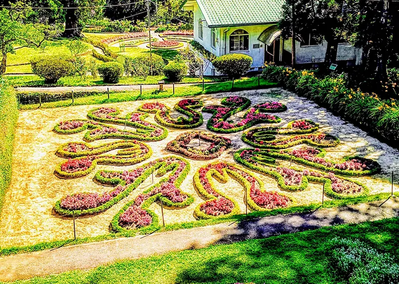 A spectacular patterned floral display blooms beside a scenic hill country bungalow