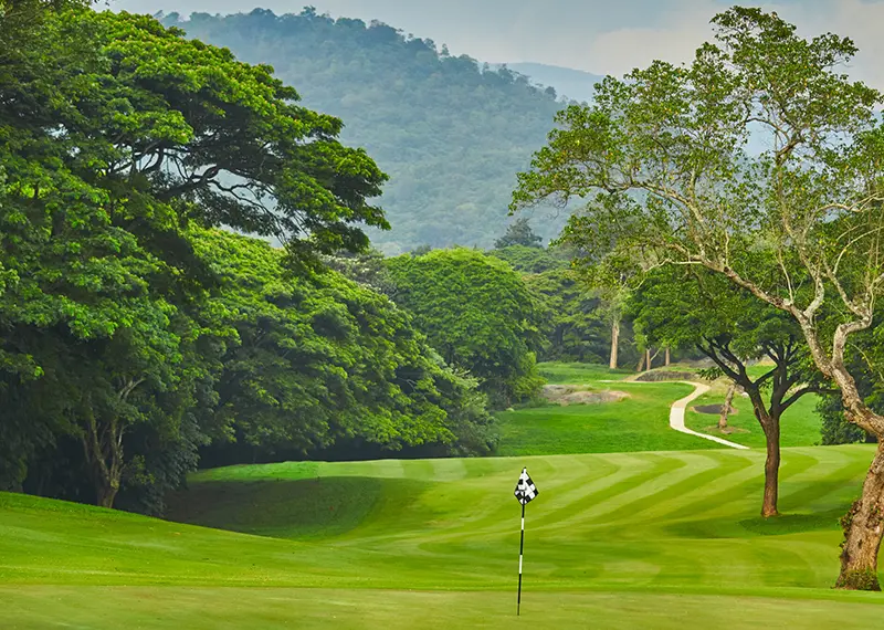 Lush green golf fairways surrounded by mature trees and mountain landscape views