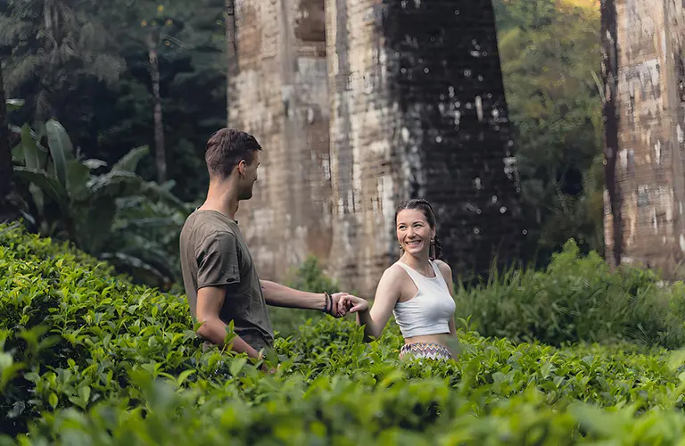 A smiling couple holding hands among lush green tea bushes with the historic Nine Arches Bridge in the background, a scenic highlight included in our Romantic Sri Lanka - A 12 Day Culture & Nature Odyssey package