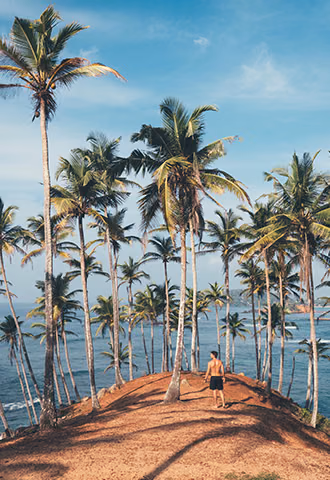 A traveler looking out at the ocean from a scenic palm tree grove on the southern coast, a beautiful beach destination featured in our Sri Lanka beach tour packages