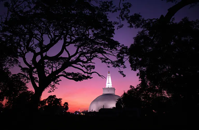 A glowing white stupa framed by large silhouetted trees against a striking purple sunset in Anuradhapura, highlighting the ancient cultural sites included in our Sri Lanka cultural tour packages