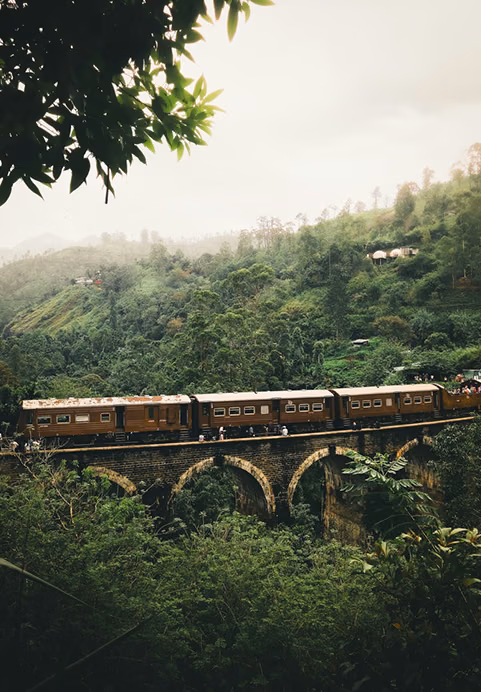 A classic train crossing the famous Nine Arches Bridge surrounded by lush green jungle and misty tea country, a breathtaking journey included in our hill country tour packages