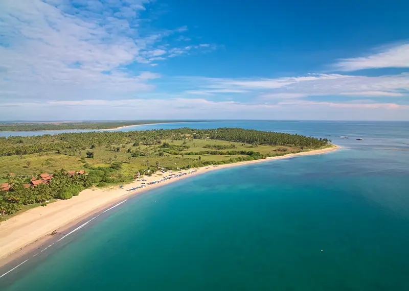 An aerial view of a sweeping tropical coastline featuring vibrant turquoise waters, a long sandy beach, and lush green palm trees sheltering a beachside resort, an ideal relaxing getaway featured in our Sri Lanka holiday packages