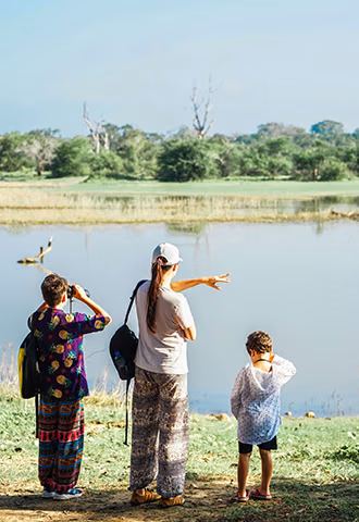 A family birdwatching and enjoying nature near a peaceful waterhole on a private Sri Lanka tour through a national park.