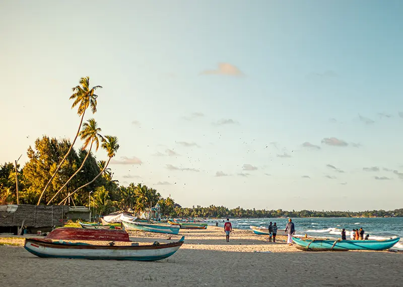 Traditional fishing boats on a sunny beach in Sri Lanka itinerary packages