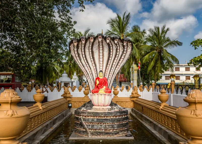 Detailed Buddha statue with a snake hood featured on private cultural tours