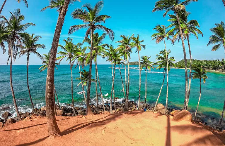 A scenic view of tall palm trees overlooking the turquoise ocean at Coconut Tree Hill in Mirissa, highlighting the tropical coastal destinations included in our Sri Lanka beach tour packages