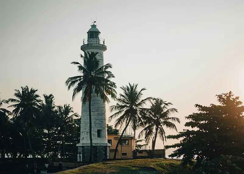 Historic white Galle lighthouse surrounded by palm trees during a golden sunset.