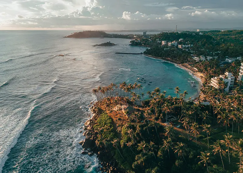 Aerial view of a scenic tropical coastline featuring a palm tree hill