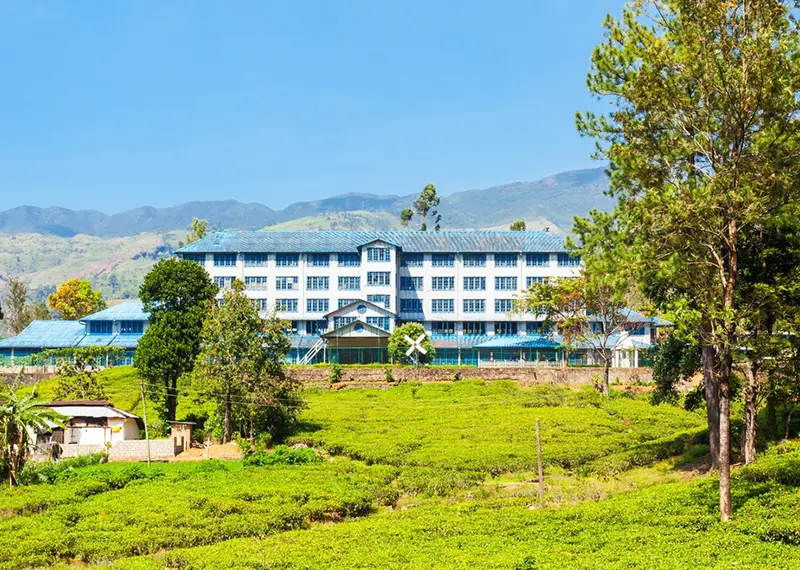 A large white tea factory building stands surrounded by green tea plantations