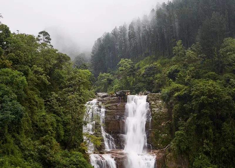A beautiful cascading waterfall flows down rocky tiers in a misty forest