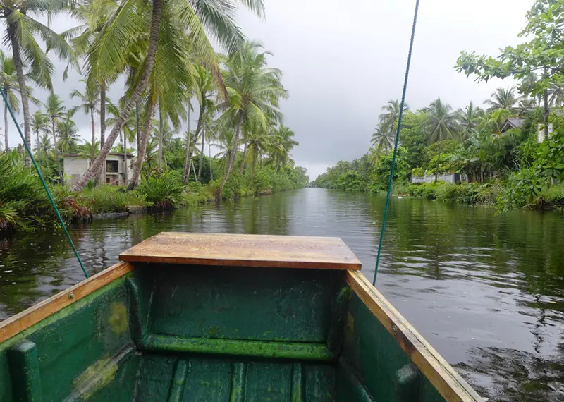 A view from the bow of a small green boat gliding down a calm tropical river lined with lush palm trees, a tranquil nature experience easily included in our Sri Lanka itinerary packages