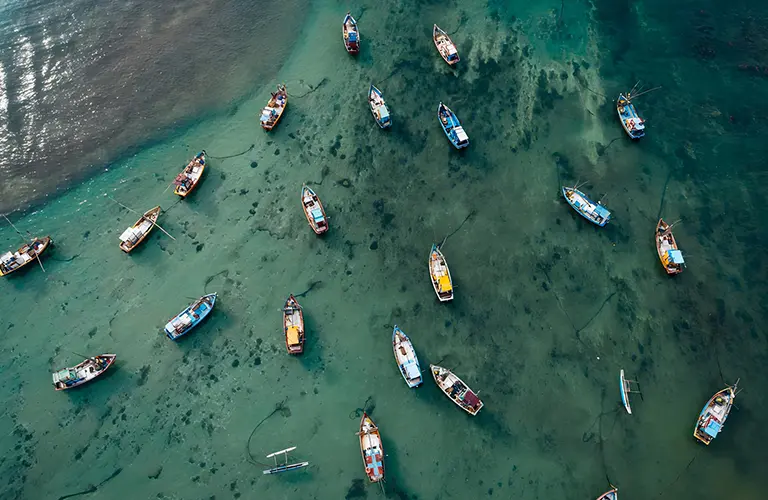 An aerial view of traditional Sri Lankan fishing boats floating in clear turquoise waters, highlighting the authentic coastal experiences included in our Sri Lanka tour packages