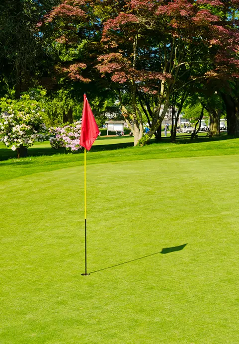 A bright, manicured golf putting green with a red flag, backed by large shade trees with colorful foliage, offering a relaxing sporting escape as part of our Hill Country Swing tour package