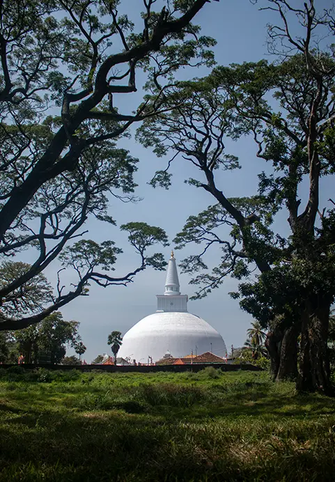 The impressive Ruwanwelisaya stupa viewed through the silhouettes of a lush forest canopy, representing the rich spiritual destinations you can explore on The Silk Road & Southern Sands Sri Lanka tour.
