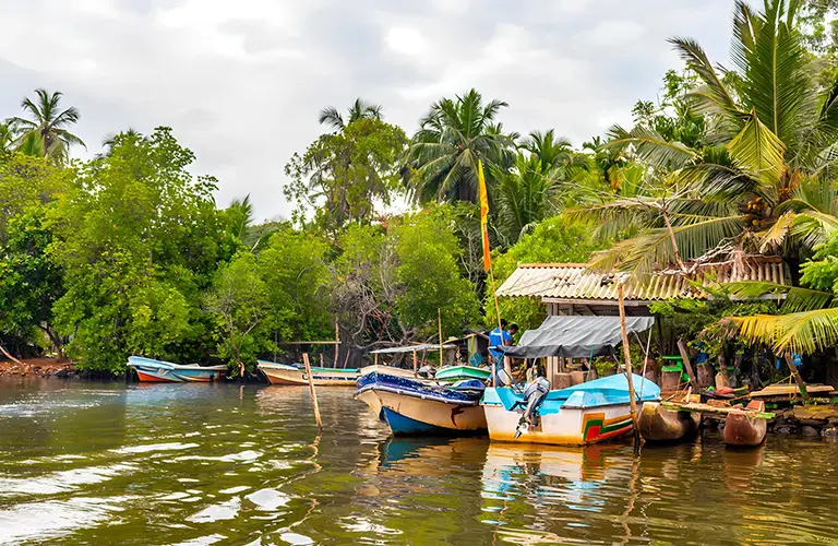 Colorful small boats docked by a rustic shelter along a calm tropical river surrounded by lush green palm trees and mangroves, a tranquil excursion easily included in our The Ultimate Family Escapade tour