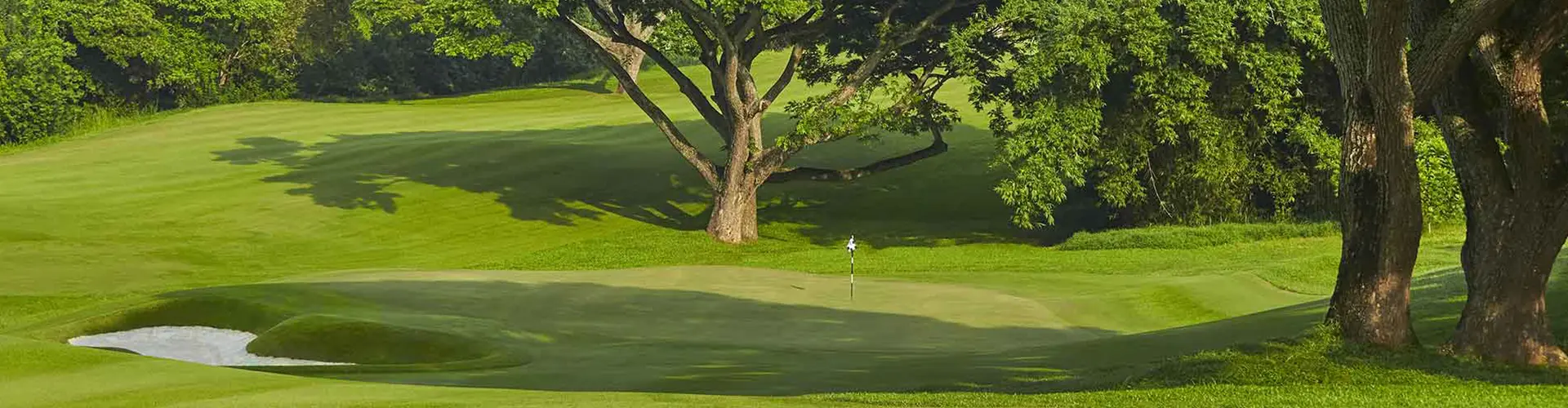 A beautifully manicured green golf course featuring large tropical trees, a smooth putting green, and a sand bunker, an idyllic recreational spot you can experience with our The Ultimate Sri Lankan Golf Escape package