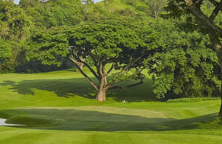 A beautifully manicured green golf course featuring large tropical trees, a smooth putting green, and a sand bunker, an idyllic recreational spot you can experience with our The Ultimate Sri Lankan Golf Escape package