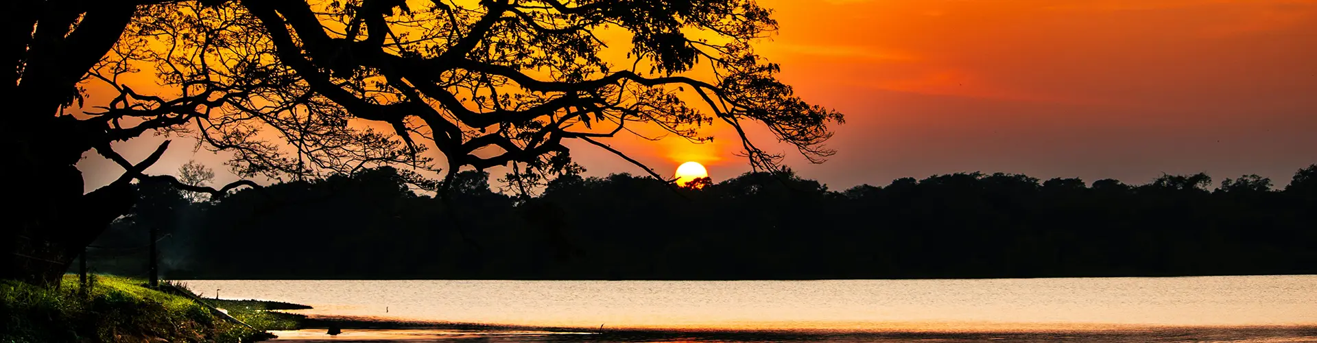Golden sunset over a tropical lake framed by a large silhouetted tree experience in our Wildlife, Culture & Coastal Calm tour
